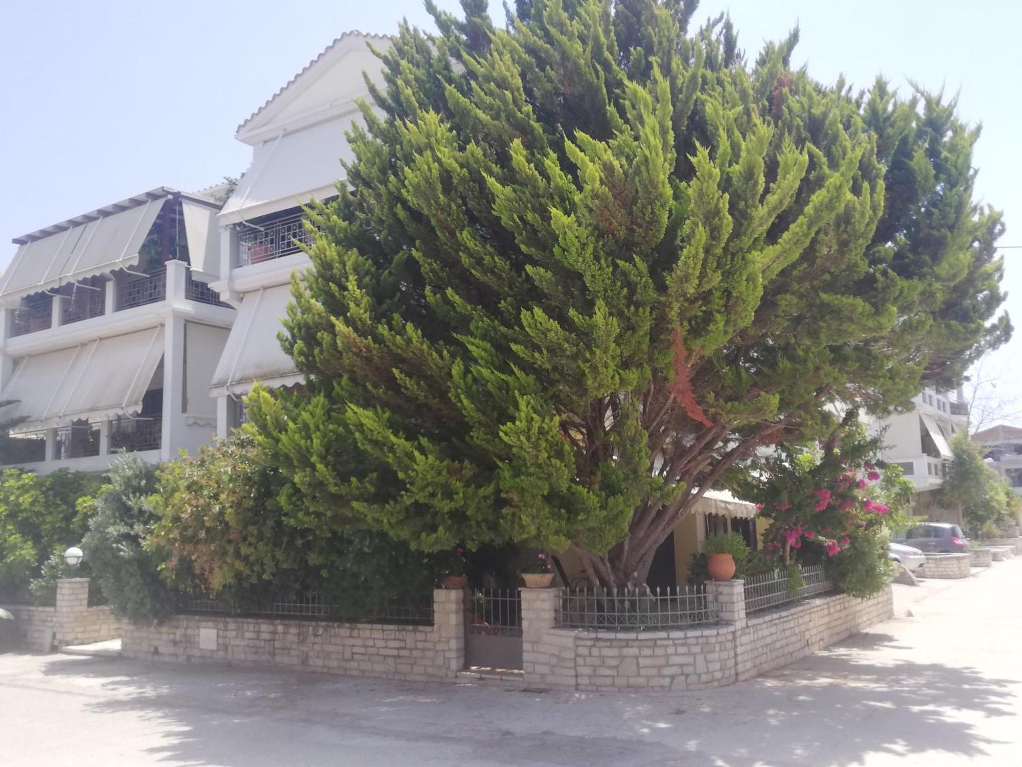 Vkastri City Lefkada City Exterior photo